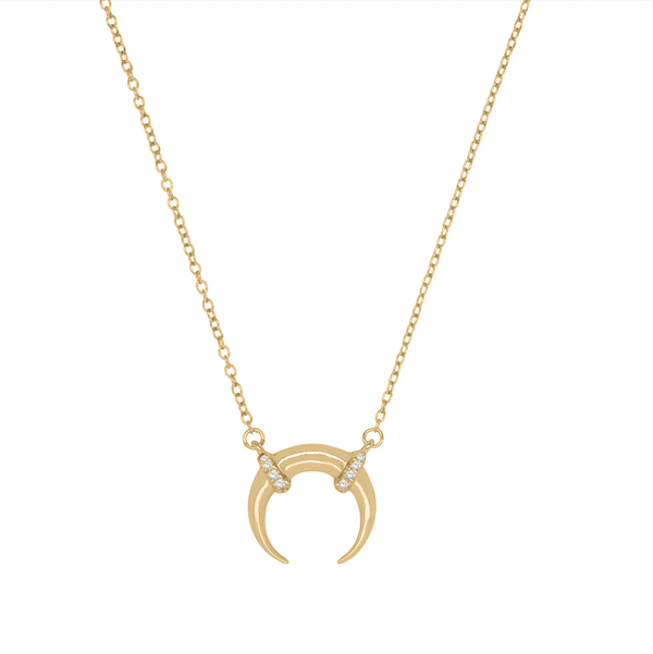 LUXE HORN NECKLACE